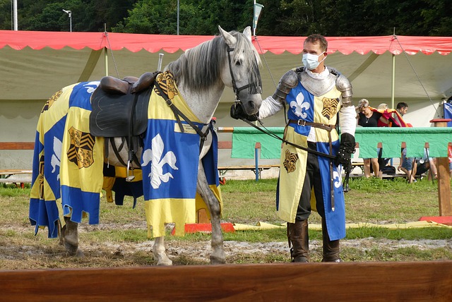 每支球队都 每支球队都