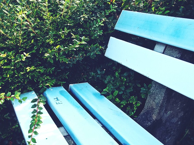 一依赖明星 一依赖明星