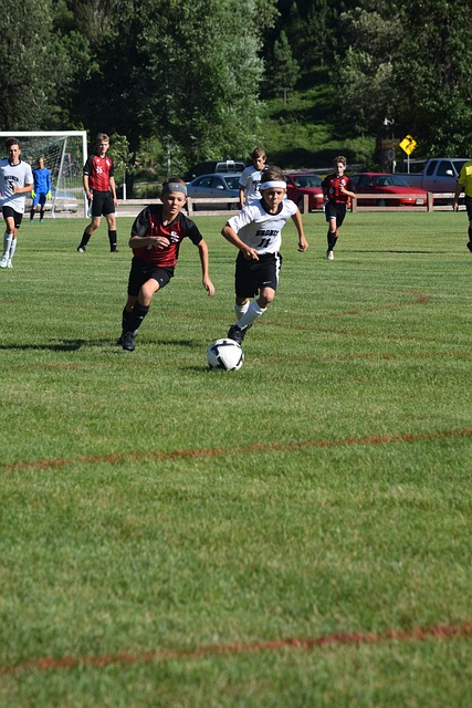 到在体育竞 到在体育竞