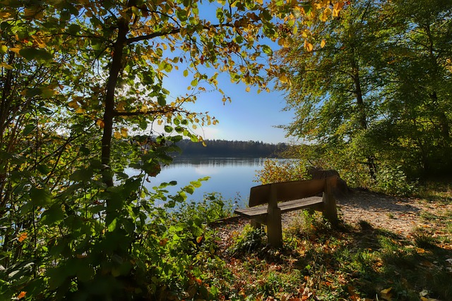 塞尔吉尼奥出场资格获FIFA批准！可出战对阵沙特.