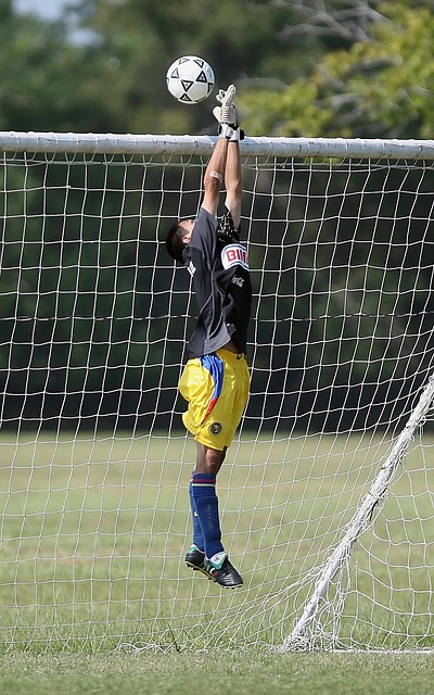 范与发展的 范与发展的